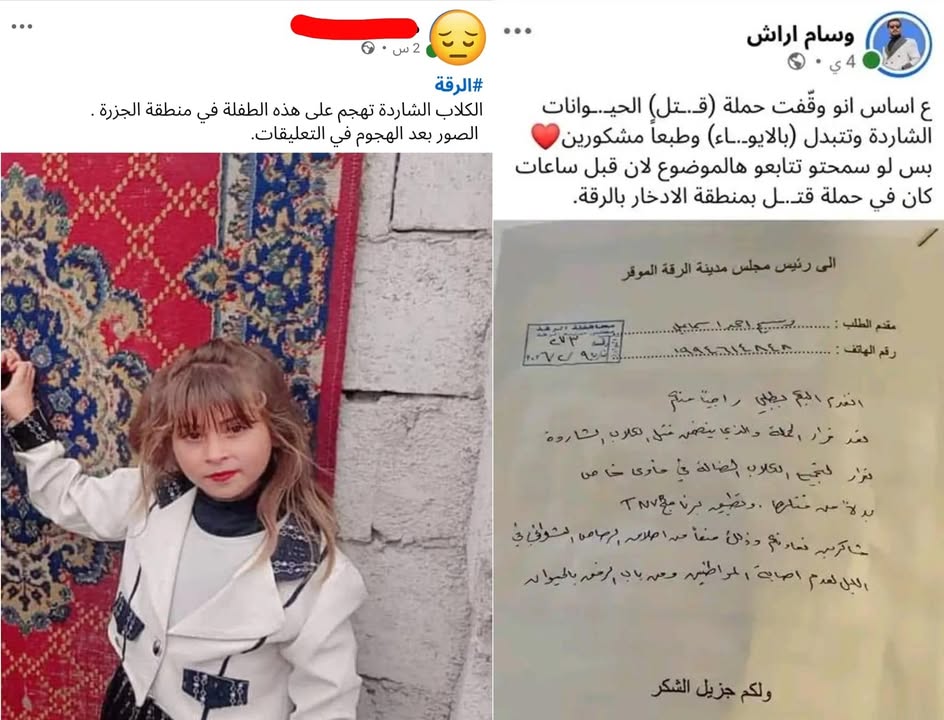 توقف حملة مكـ.ـافحة الكـ.ـلاب الشـ.ـاردة في #الرقة بالرغم من تعرض المواطنين وأطفـ.ـالهم لأفـ.ـظع أشك...