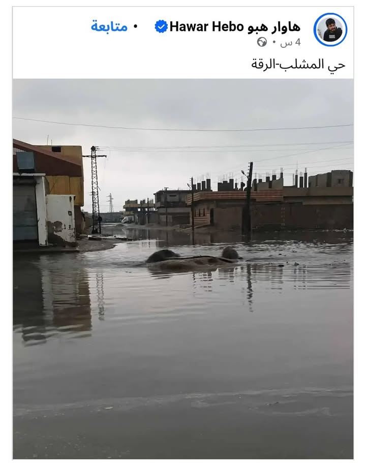 أوقح وأقذر وأحقر وأنذل وأصلف من أبواق ميـ.ـليشـ.ـيا #قسد الآپوجية الارهـ.ـاىىه لن تعرف البشرية والعل...